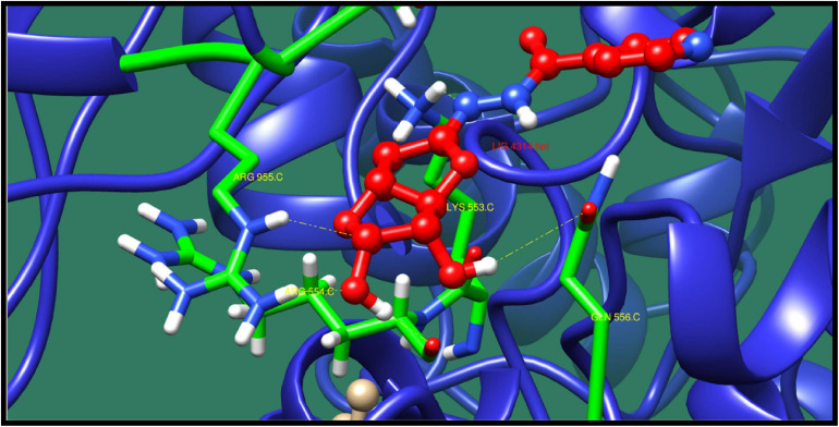 FIGURE 10