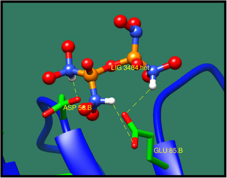 FIGURE 6