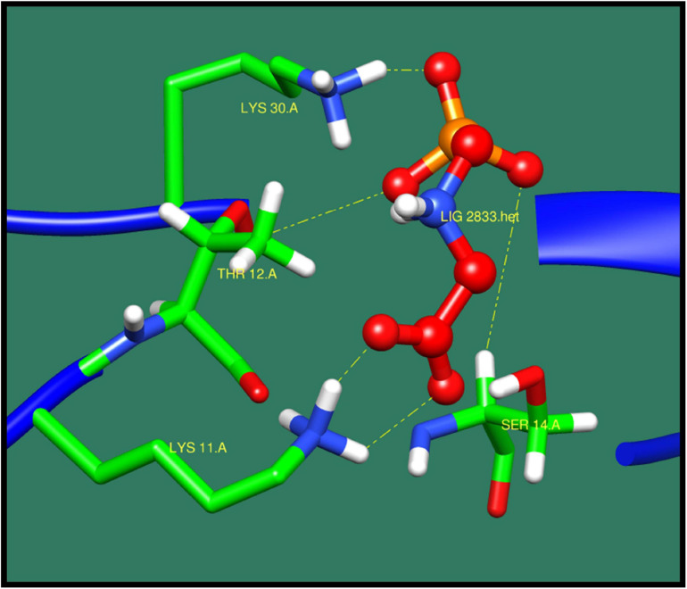 FIGURE 11