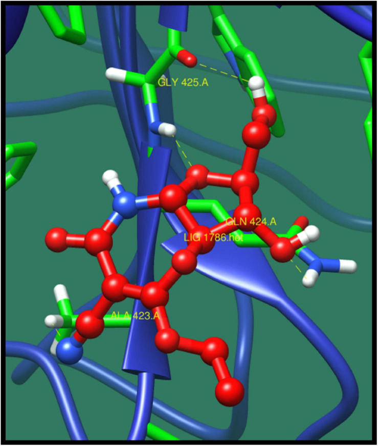 FIGURE 7