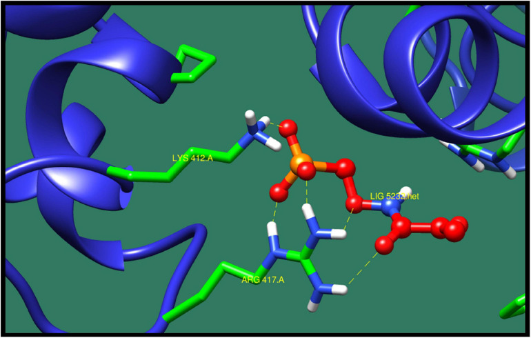 FIGURE 4