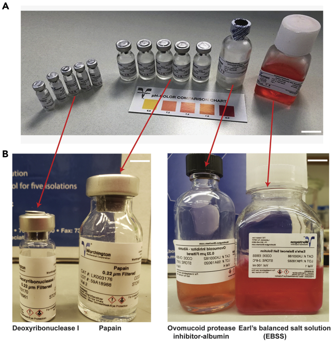 Figure 2