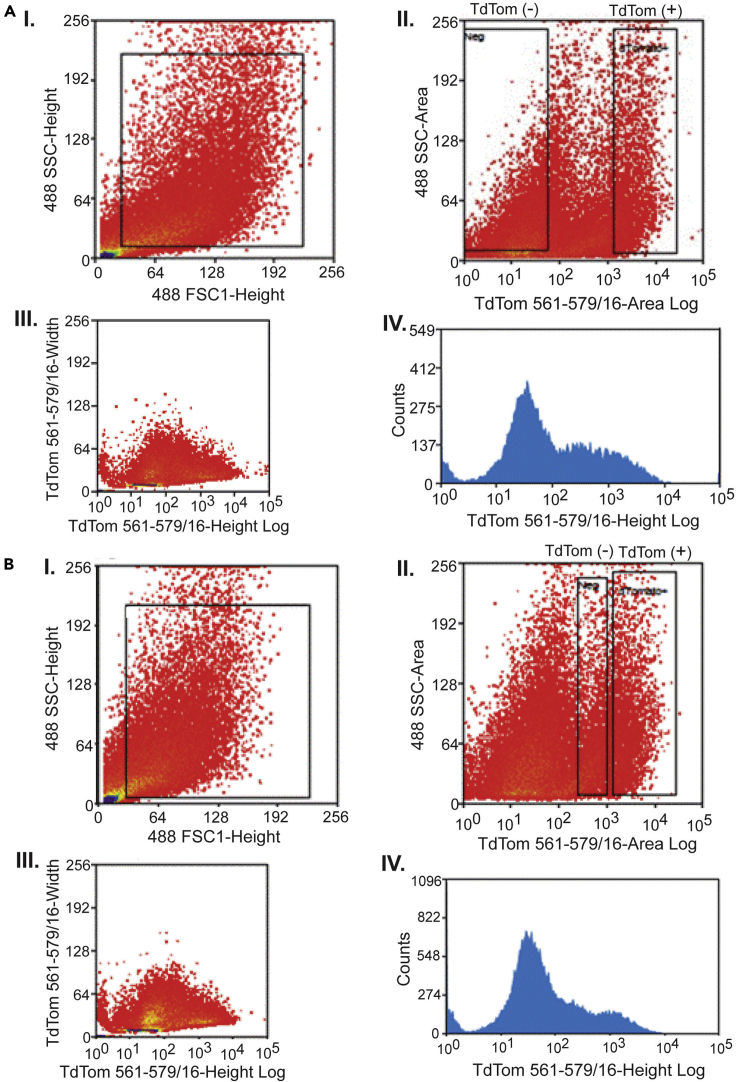 Figure 6