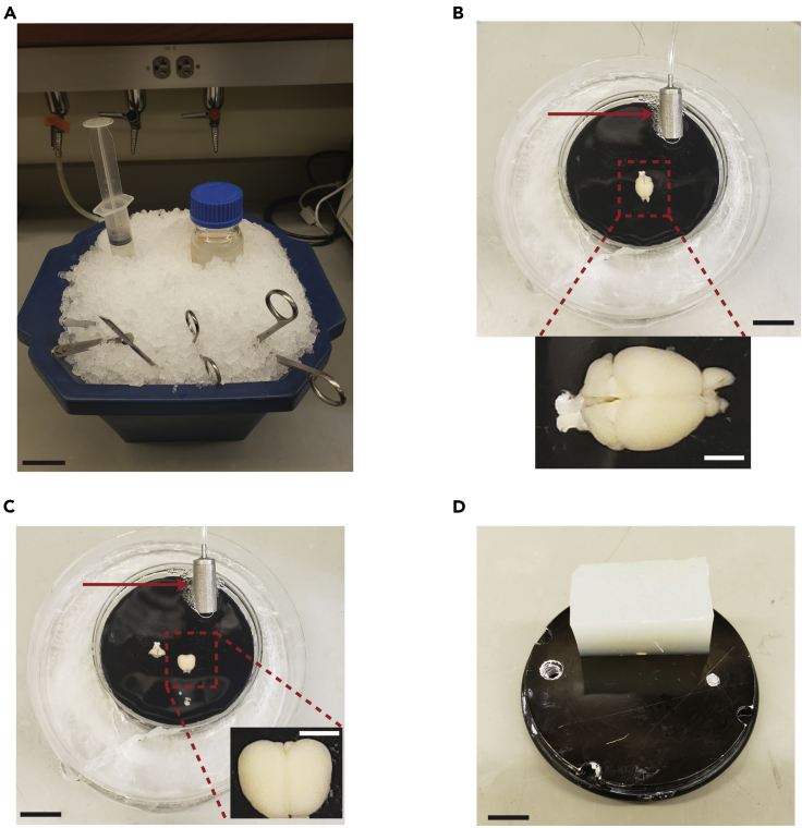 Figure 4