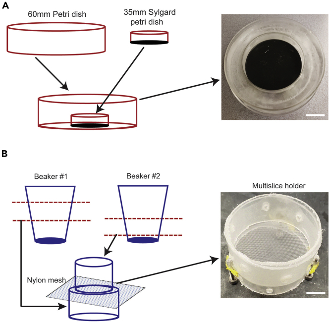 Figure 3