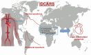 Graphical Abstract