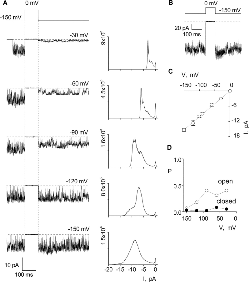 Figure 11. 