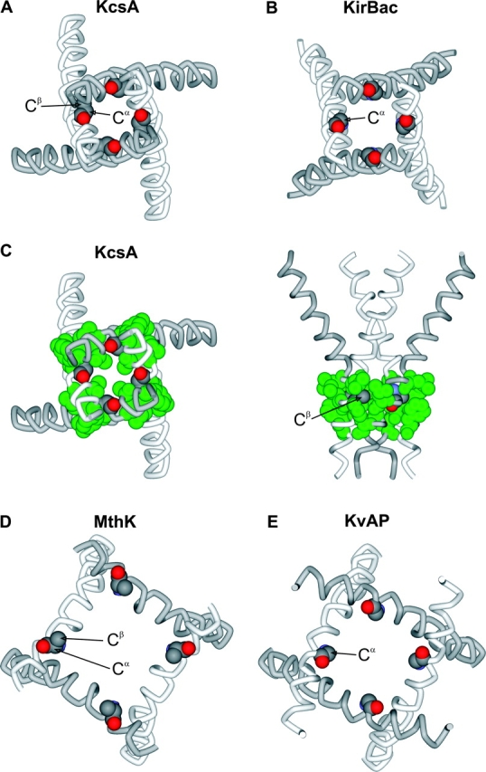 Figure 12. 