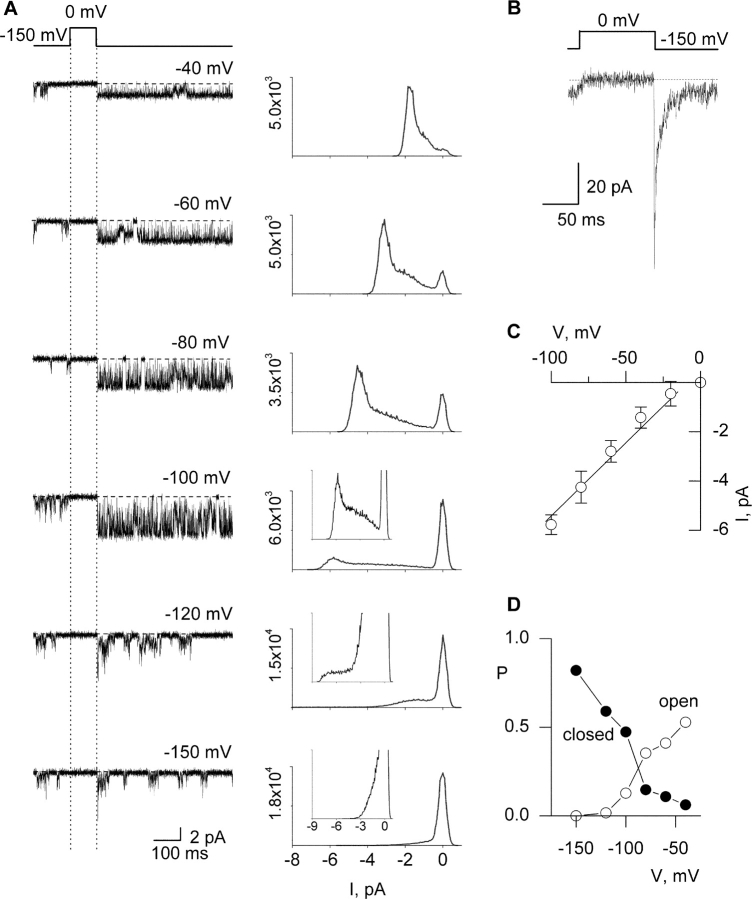 Figure 10. 