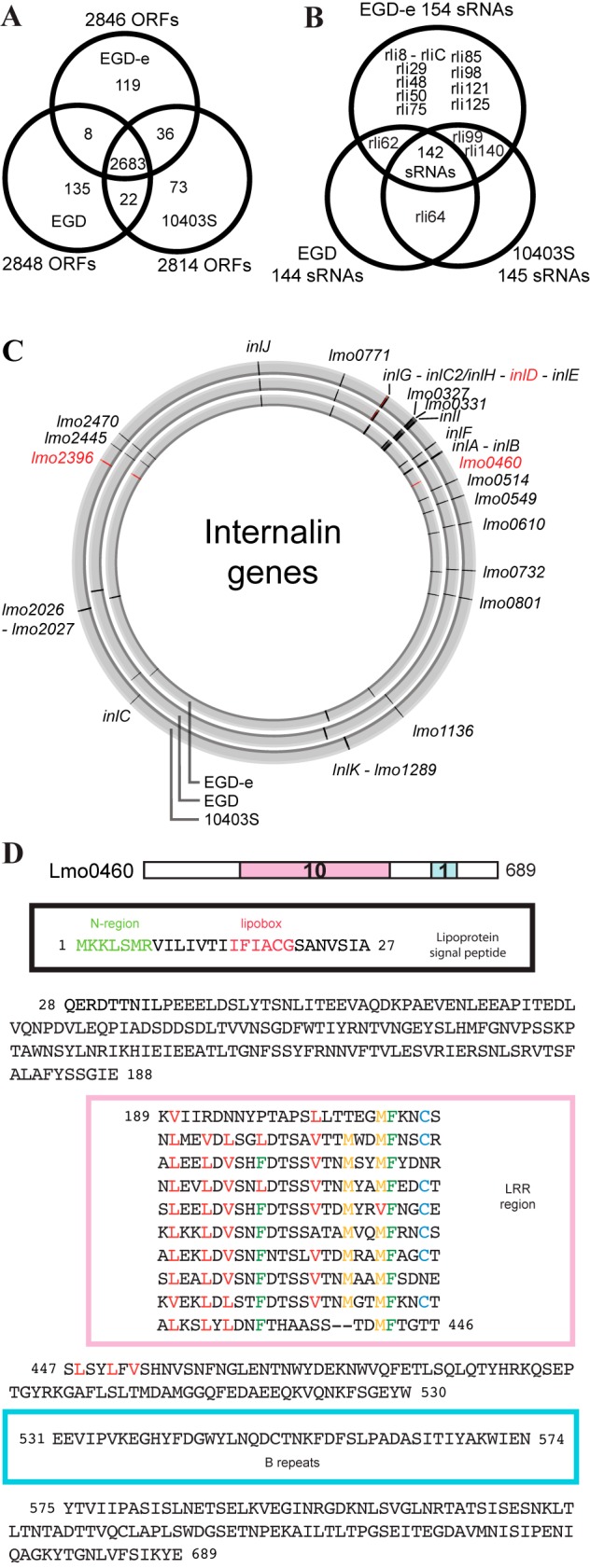 FIG 2 
