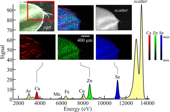 Figure 10