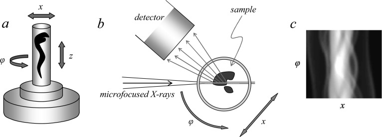 Figure 23