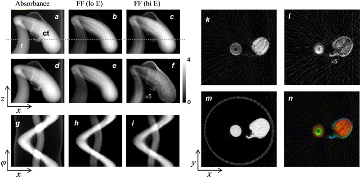 Figure 25