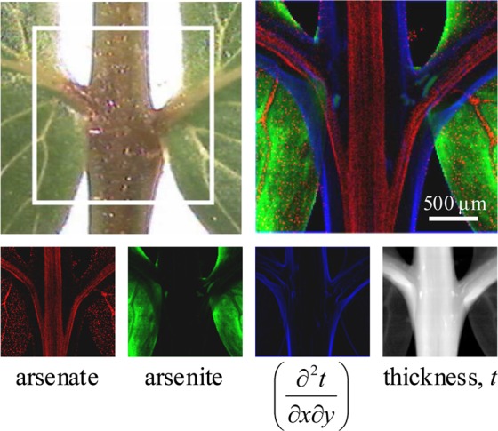 Figure 29