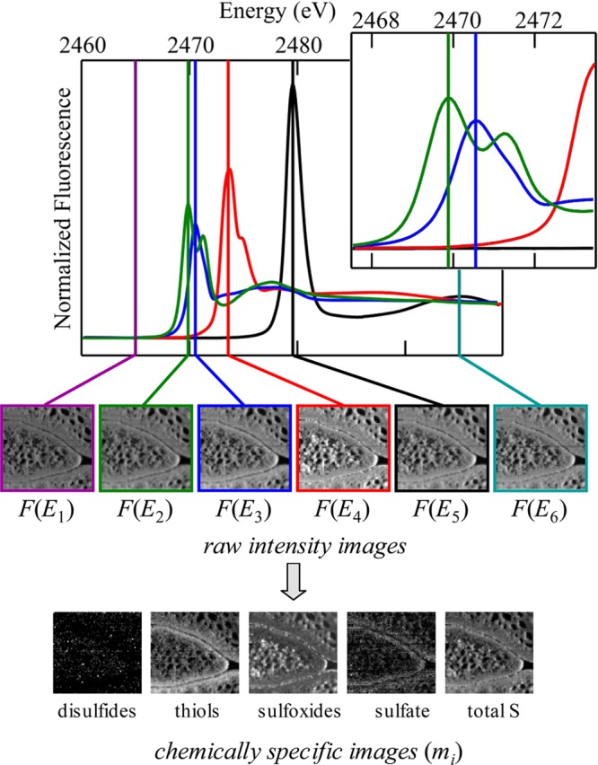 Figure 22