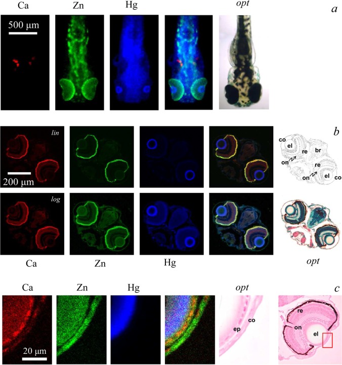 Figure 32