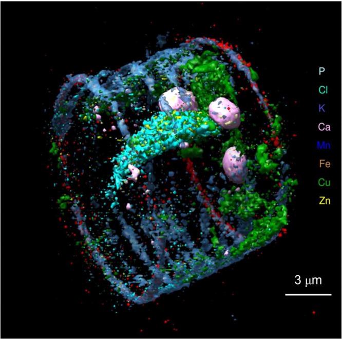 Figure 24