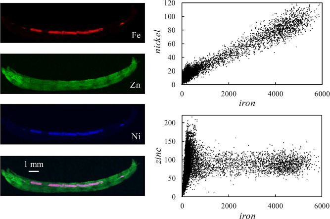 Figure 28