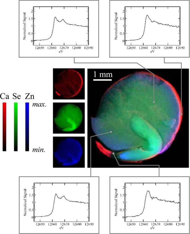 Figure 20