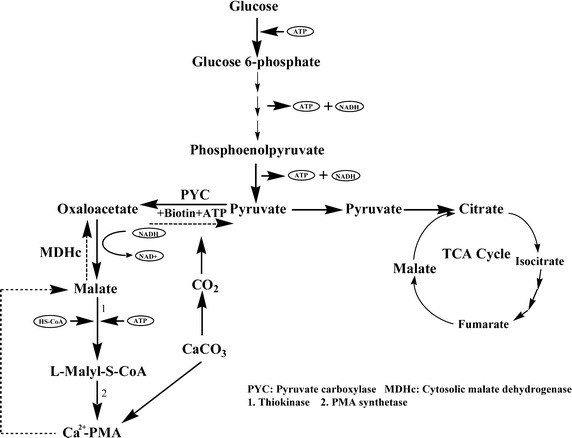 Fig. 4