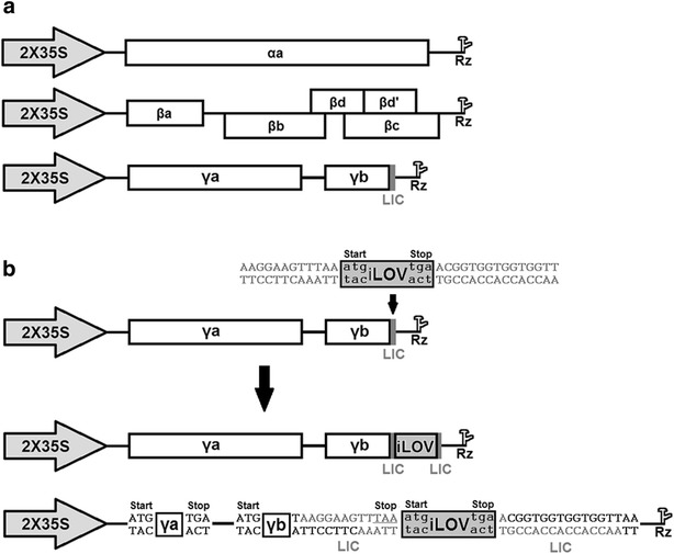 Fig. 1