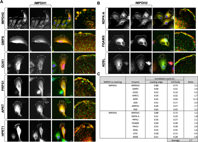 Figure 3: