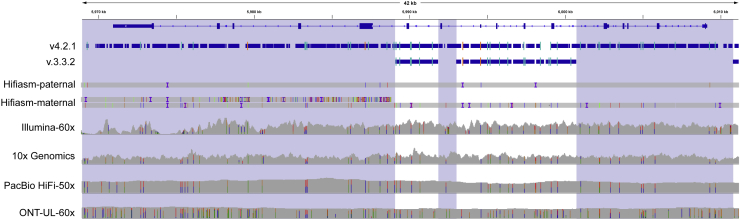 Figure 4