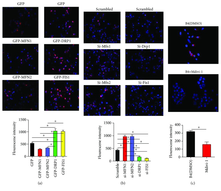 Figure 6