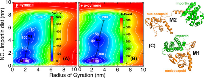 FIGURE 2