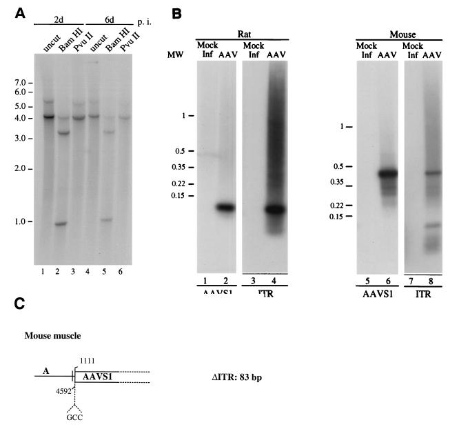 FIG. 6