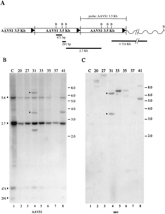 FIG. 4