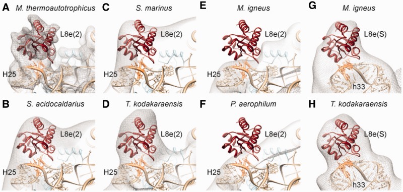 Figure 5.