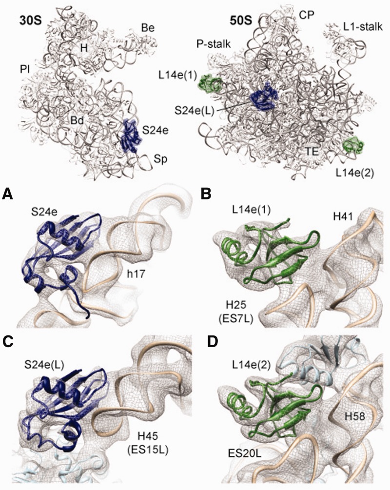 Figure 4.