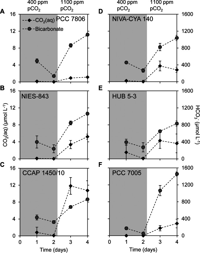 FIG 3