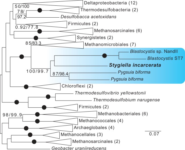 Fig. 8.