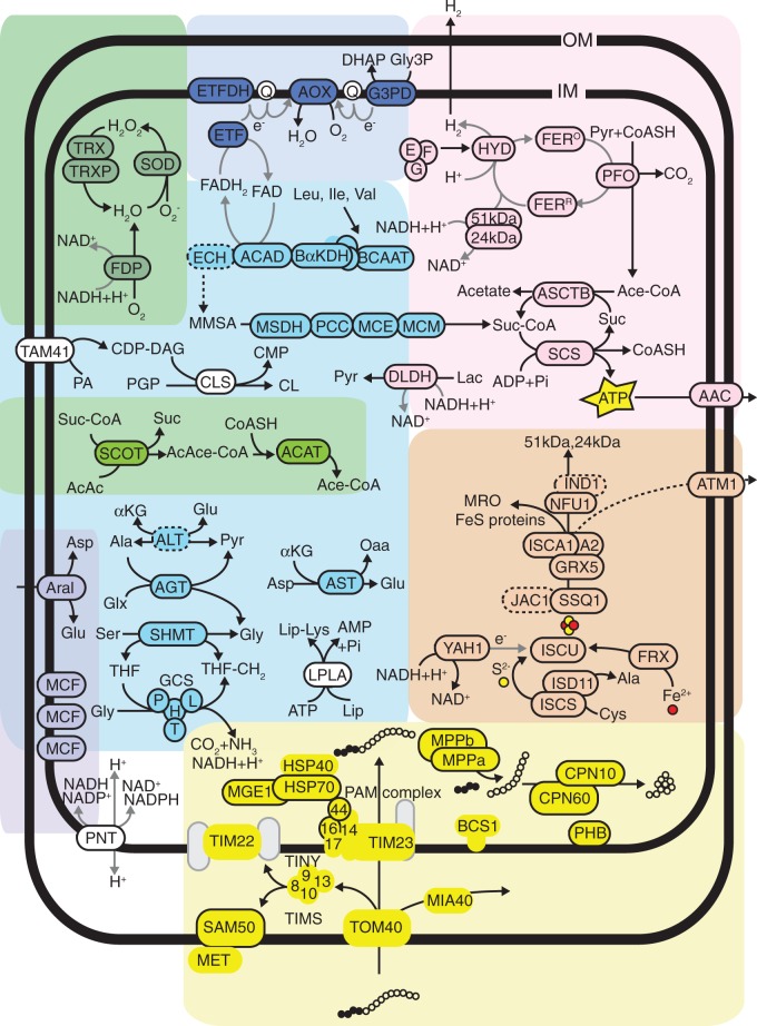 Fig. 2.