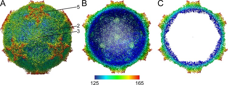 FIG 2