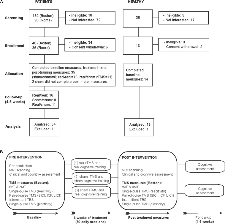 FIGURE 1