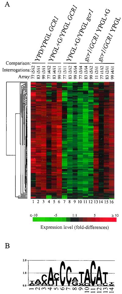 FIG. 3