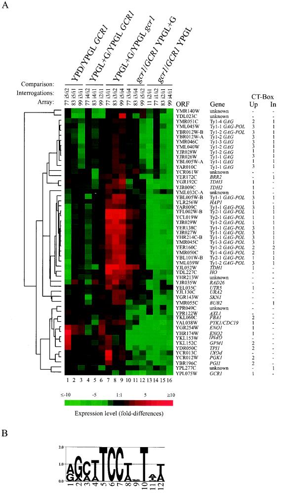 FIG. 1