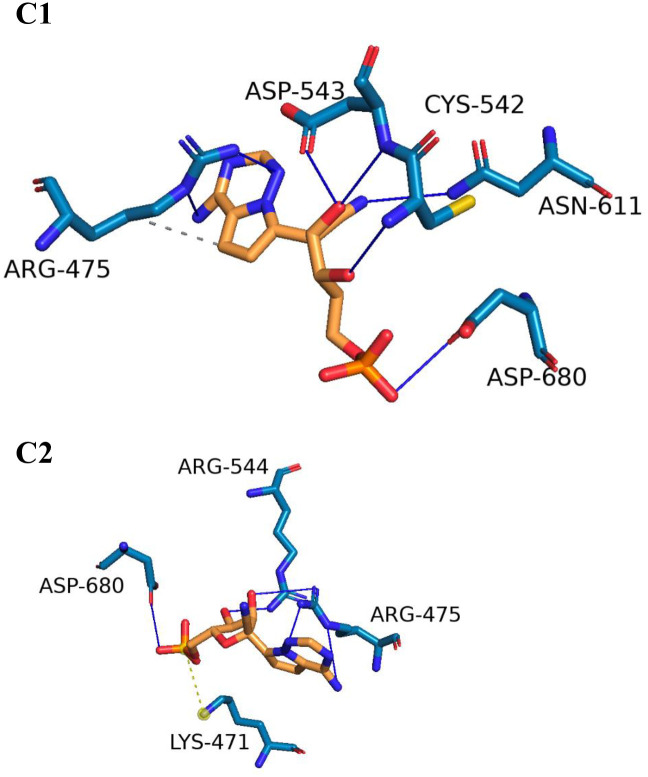 Fig 13