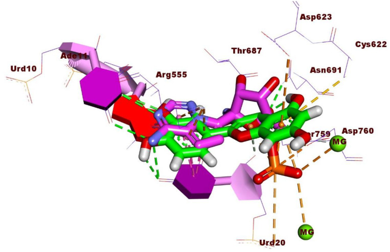 Fig 6