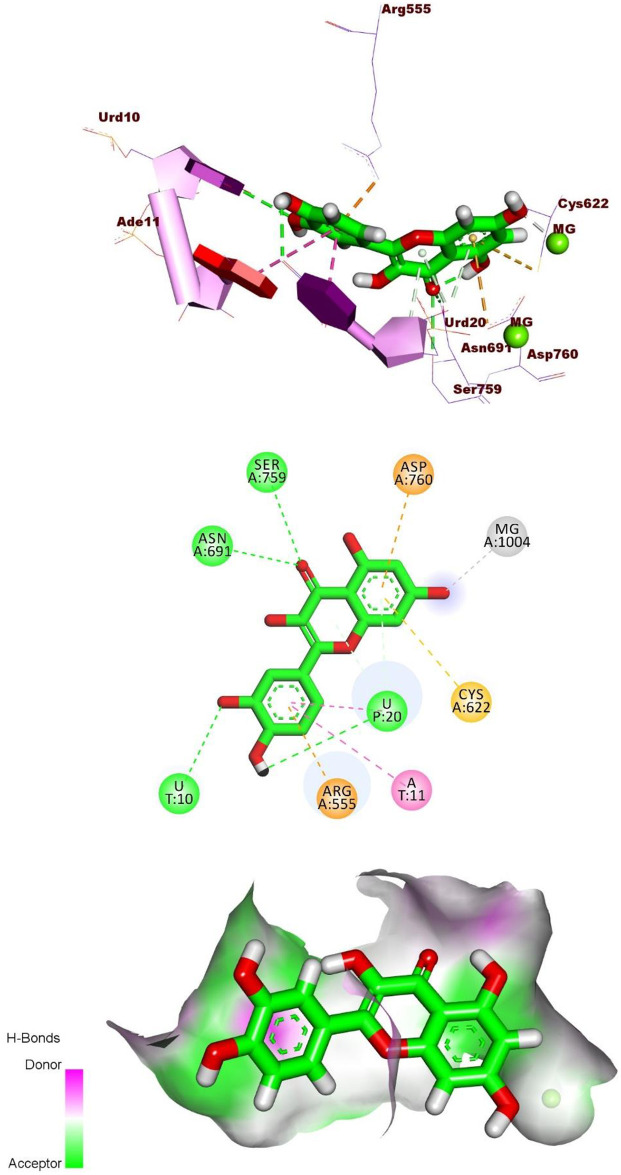 Fig 5