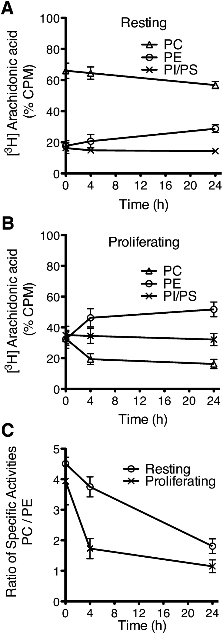 Fig. 10.