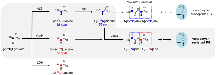 Scheme 2.