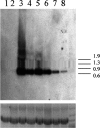 Fig 1.