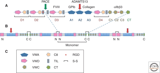 Figure 2.