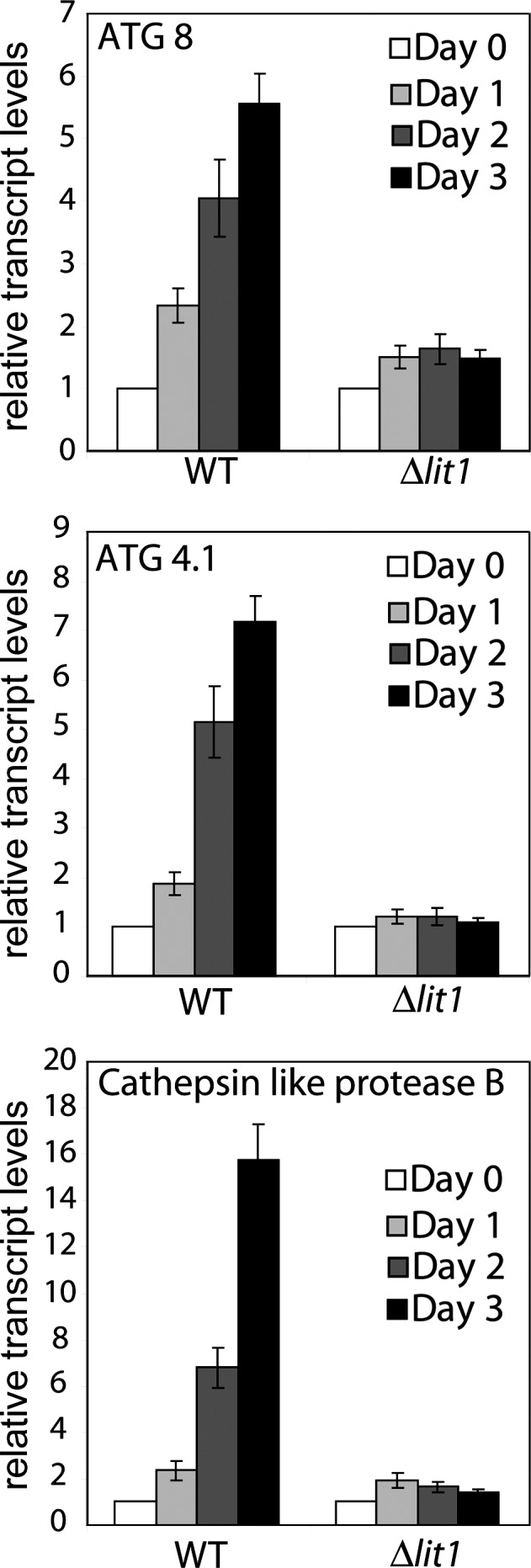 Figure 5.