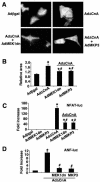 FIG. 9.