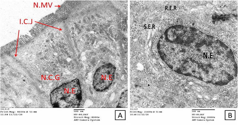 Fig. 7